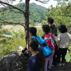 ごんた山でかしわもち！