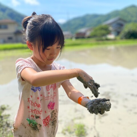 【6/14土は開催中止】田んぼで泥あそび！サムネイル