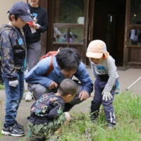 WS山のふもと_s