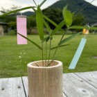 竹の七夕飾りをつくろう！