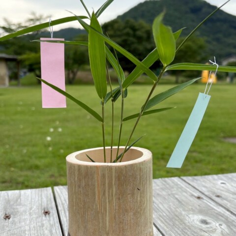 竹の七夕飾りをつくろう！サムネイル