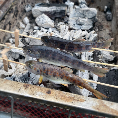 あまごの手づかみ＆炭火焼きサムネイル