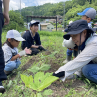 スクリーンショット 2026-03-19 11.01.31