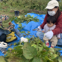 スクリーンショット 2026-03-19 10.52.14