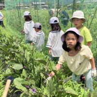 スクリーンショット 2026-03-19 11.01.25