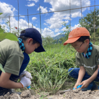 スクリーンショット 2026-03-19 11.01.45