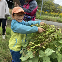 スクリーンショット 2026-03-19 11.01.39